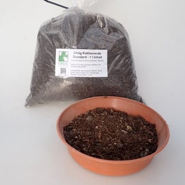 Uhlig cactus soil standard