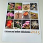 Cacti and other succulents Calendar 2023