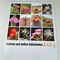 Cactus y otras suculentas Calendario 2023