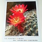 Cacti and other succulents Calendar 2023