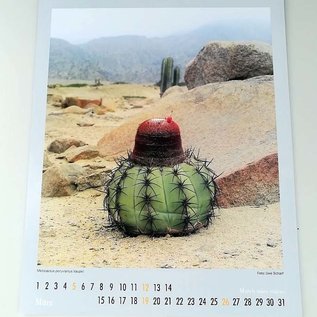 Cacti and other succulents Calendar 2023