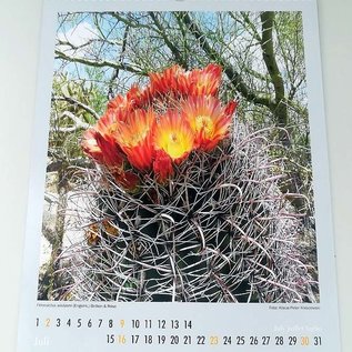 Cacti and other succulents Calendar 2023