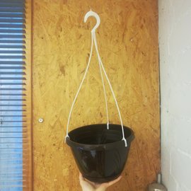 hanging basket 25cm