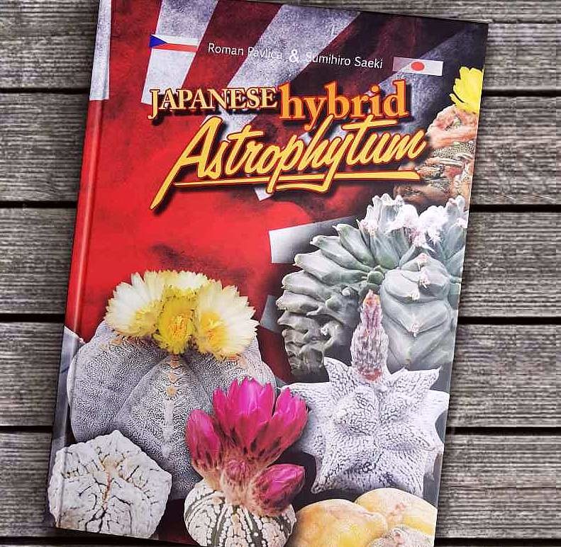 Roman Pavlica - Japanese Hybrid Astrophytum - Uhlig Kakteen