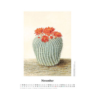 Cactus en fleurs - calendrier mural 2024 - dessins de Toni Gürke