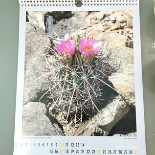 Calendrier cactus et autres plantes succulentes 2023 - Copie