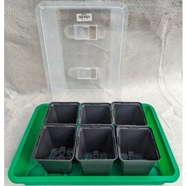 Sowing Set 06T