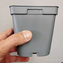 Square container pots 11x11x11 cm