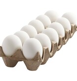 Eieren wit plastiek effen