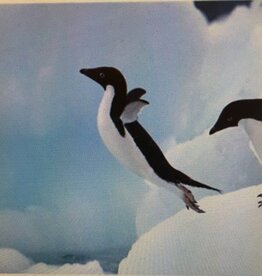 Diamond Painting Pinguïn