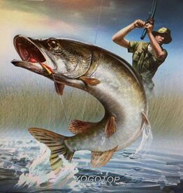 Diamond Painting vliegvisser