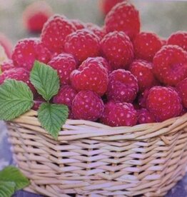 Diamond Painting mandje frambozen