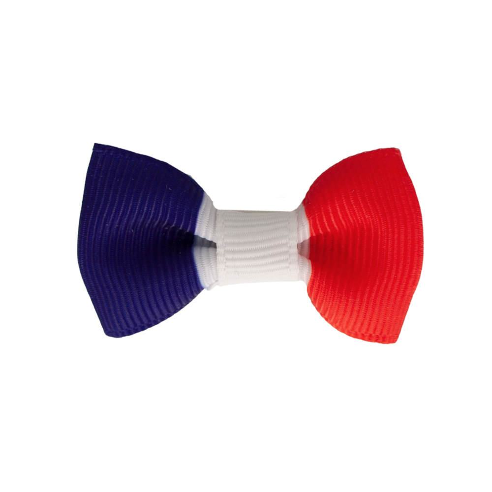 Your Little Miss Baby haarspeldje met strikje - French flag
