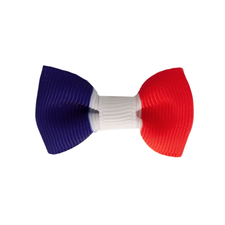 Your Little Miss Baby-Haarclips mit Schleife - French flag