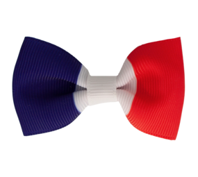 Your Little Miss Hair clip with bow - French flag