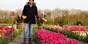 TULIP STORE SHOW GARTEN 2019