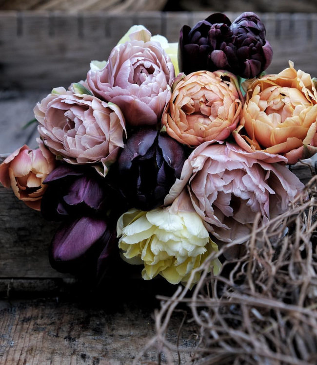 Tulipan Linda's Vintage