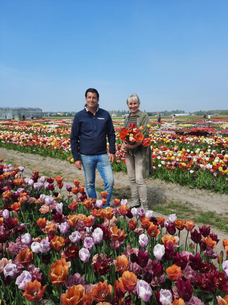 Tulip bulbs Mariekes picking garden mix - 6 wonderful varieties ...