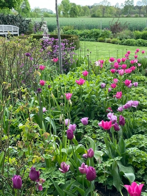 Flowerbulbs Katrins Garten Collection lovely pink/white collection