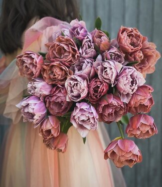 Mieszanka tulipanów Michaela's Inspiration