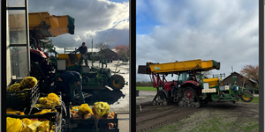 Visningsträdgården 2025 är planterad!