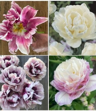 Selection by not.only.k