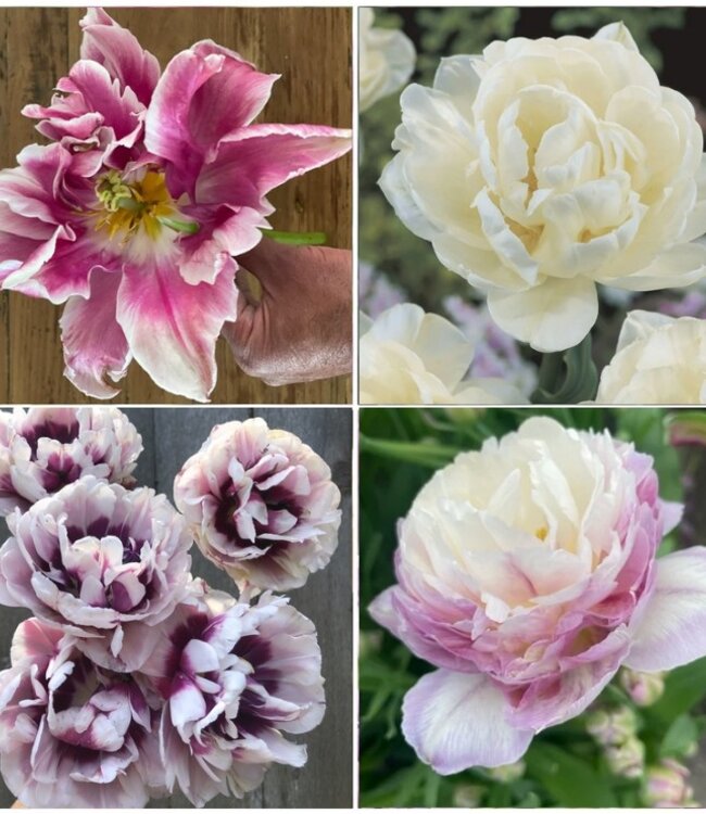 Selection by not.only.k