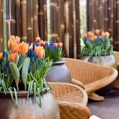 Doftande blommor