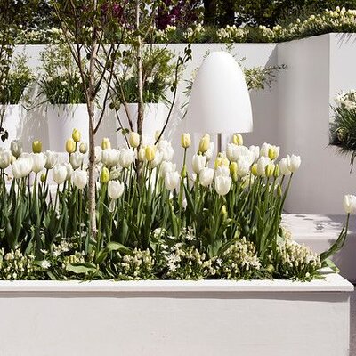 Moderne tuinimpressies