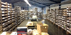 Verpackung und Versand die Blumenzwiebeln