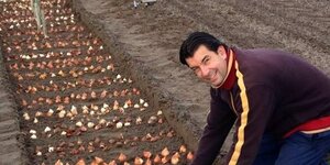 Tulip Store Show Garten