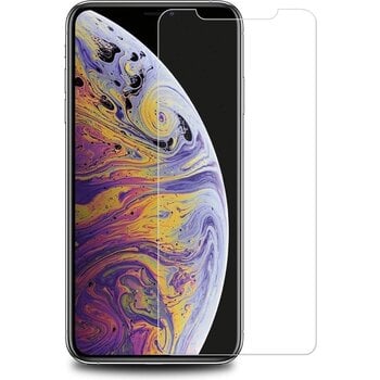 Betaalbare Hoesjes Apple iPhone X/10 Screen Protector Beschermglas Tempered Glass -