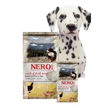 Nero Pure   Puppy