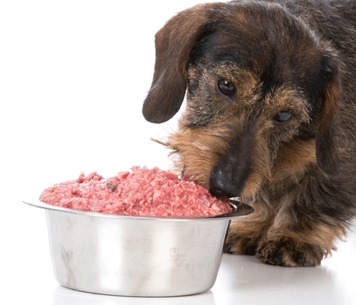 4 voor- en nadelen van voeren van vlees - Hondenvoer-winkel