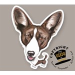 Heads Welsh Corgi (Cardigan)