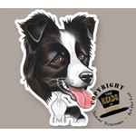 Heads Border Collie