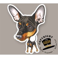 Heads Dwerg Pinscher