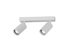 Deckenstrahler GU10 Aluminium schwenkbar 2-flammig Weiß