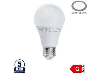 10W LED E27 A60 Birne Kunststoff Professional Kaltweiß