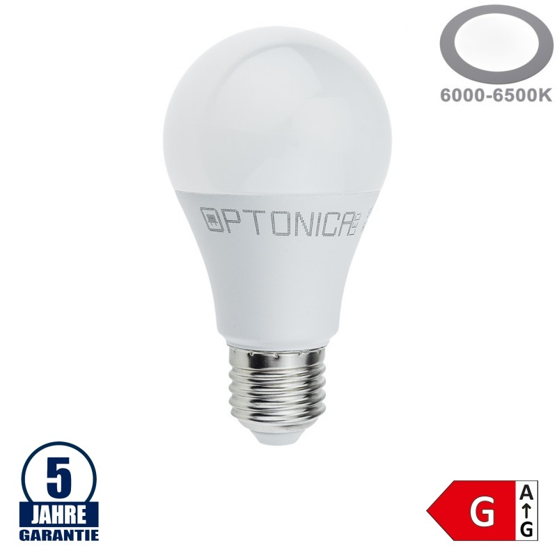 10W LED E27 A60 Birne Kunststoff Professional Kaltweiß