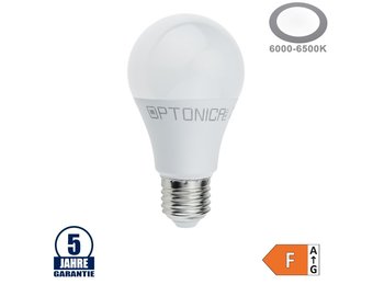 12W LED E27 A60 Birne Kunststoff Professional Kaltweiß