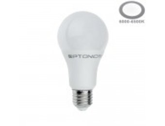 15W LED E27 A60 Birne Kunststoff Professional Kaltweiß