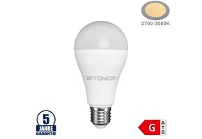 18W LED E27 A65 Birne Kunststoff Professional Warmweiß