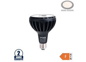 30W LED Lampe E27/PAR30 Neutralweiß Schwarz