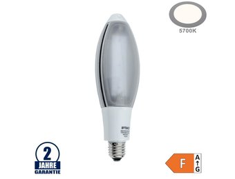 25W LED E27 Kolbenlampe Kunststoff Kaltweiß