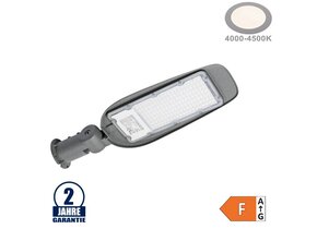 100W LED Straßenleuchte Neutralweiß IP65