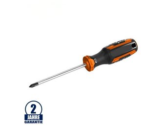 Schraubendreher PH1x100mm