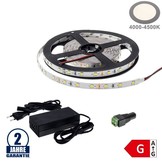 60SMD/m 4,8W/m 12V LED Streifen 3528 Neutralweiß 5m SET