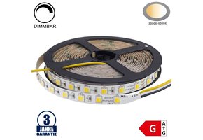 60SMD/m 12W/m 24V Professional LED Streifen 5025 Dual-LED Warm-Kaltweiß 5m