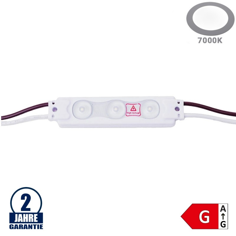 LED 230V SMD 3 Modul 1,6W IP67 Kaltweiß